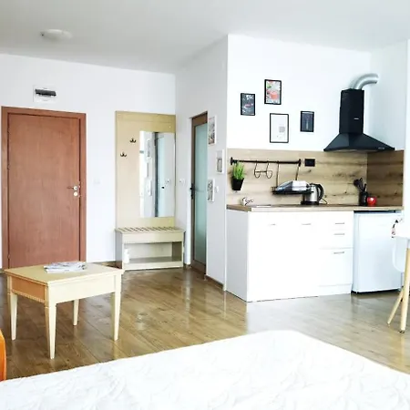 F 207 Del Sol - просторно студио с кухня и паркомясто * Primorsko